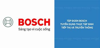 Bosch Thực Tập Sinh