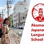 Havico Language School Là Trường Gì Ở Mỹ Về Học Phí Rẻ Nhất