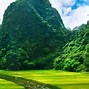 Tour Ninh Bình Vietravel